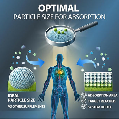 Zeolite Detox for Kids and Adults, Premium Zeolite Clinoptilolite Liquid with Methyl Vitamin B12 & D3, Gentle Heavy Metal Detox for Kids, Energy, and Focus, Monk Fruit Flavor, 4 Fl Oz
