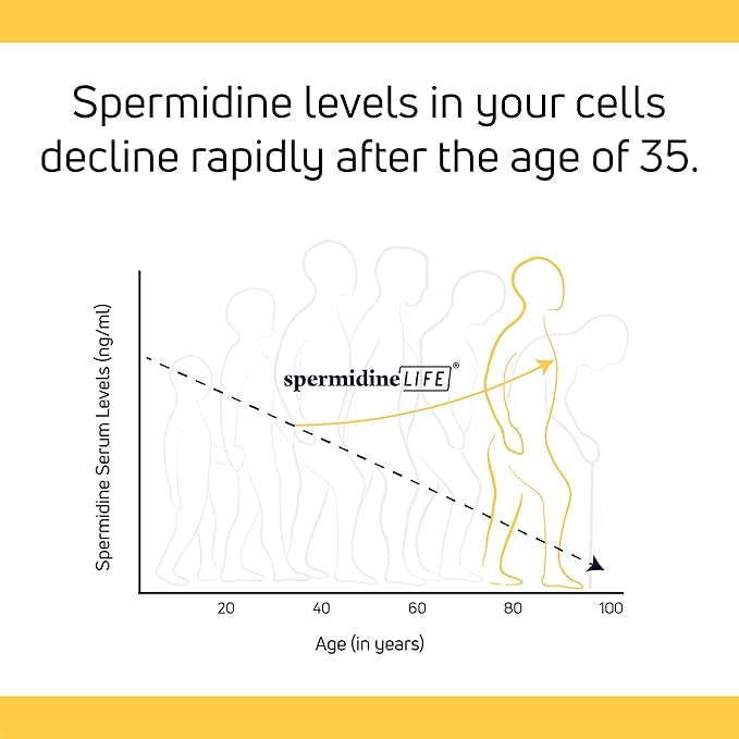spermidineLIFE Natural Supplement, Plant-Based, Wheat Germ Extract with High Spermidine Content and Zinc for Cell Renewal, Vegan-Friendly, 60 Capsules