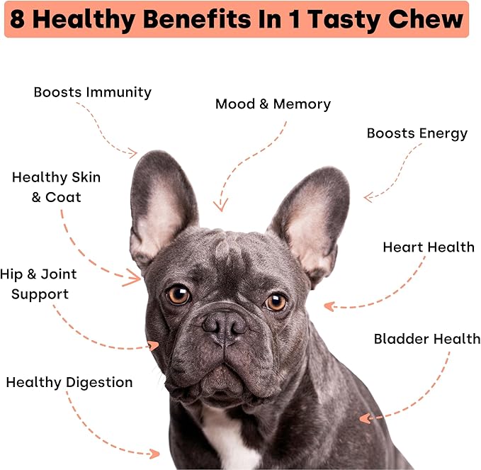 Kayode Daily Multi - Dog Multivitamin & Superfood Chew. Fill Nutrient Gaps. Helps Joints, Digestion, Heart, Brain, Urinary & More. Add Nutrients Dog Food Misses. Great for Puppies Too.