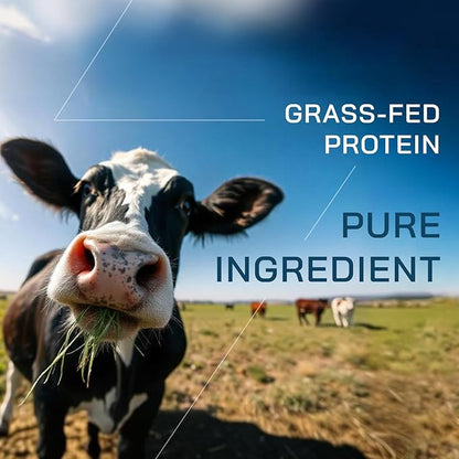 GOPOWER Whey Protein Powder, with BCAAs, Grass Fed Protein Powder, 2 Pound, 18 Servings
