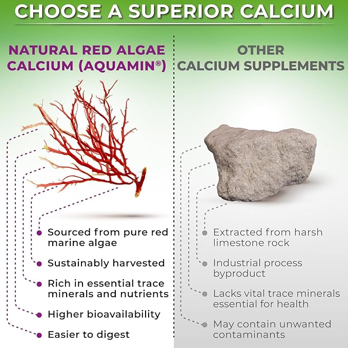 Plant-Based Calcium 500mg (Aquamin) - Vegan Calcium Magnesium Zinc D3 + Vitamin K2, Organic Turmeric & BioPerine - Supports Enhanced Bone Health & Strength for Women and Men - 90 Count