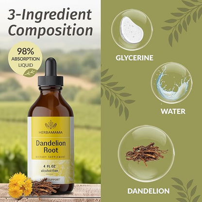 HERBAMAMA Dandelion Root Extract - Dandelion Tincture Vegan Liver Health Supplements - Dandelion Root Liver and Kidney Cleanse Drops - Alcohol & Sugar-Free, 56-Day Supply