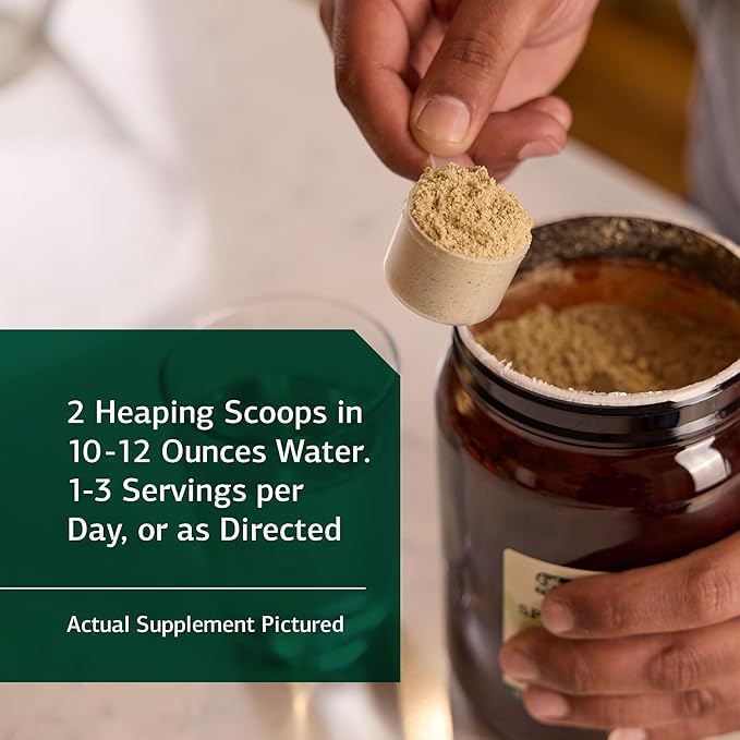 Standard Process SP Detox Balance - Whole-Food Detox Cleanse with Magnesium, Iron, Creatine, Milk Thistle, Protein, Calcium, Potassium, Choline, Arginine, Vitamin K1 - Vegan, Gluten Free - 28oz