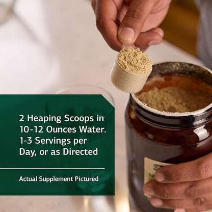 Standard Process SP Detox Balance - Whole-Food Detox Cleanse with Magnesium, Iron, Creatine, Milk Thistle, Protein, Calcium, Potassium, Choline, Arginine, Vitamin K1 - Vegan, Gluten Free - 28oz