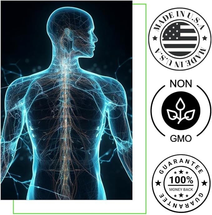 Multi Zone - Supports The Overall Nutritional Status in The Body