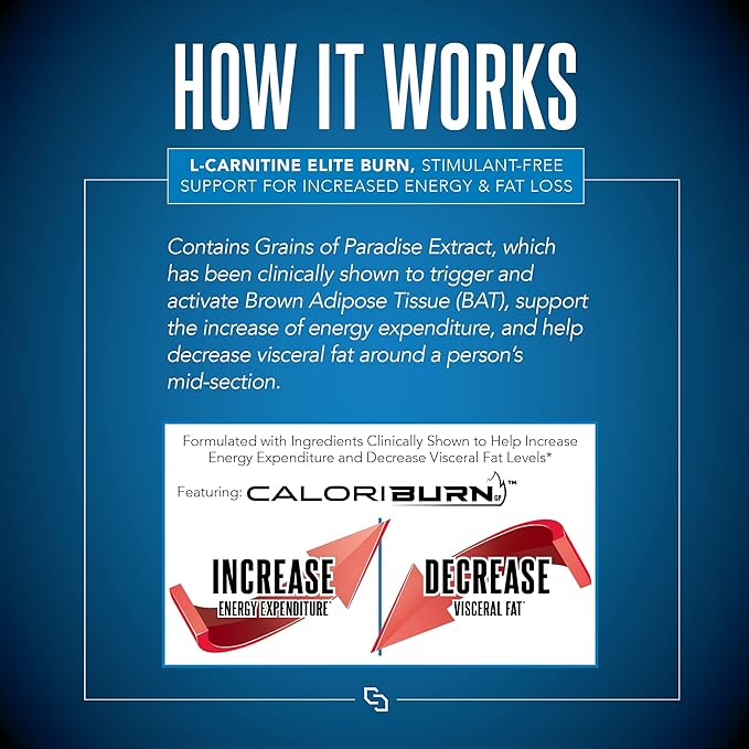 Siren Labs L-Carnitine Elite Burn Liquid Keto Fat Burner and Metabolism Activator - Fat Loss Support Keto Friendly Weight Loss Increase Energy-Stimulant Free - Malibu Beach Blast 3000mg (32 Servings)