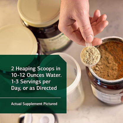 Standard Process SP Detox Balance Chai - Gluten-Free Detox Cleanse Formula with Magnesium, Iron, Creatine, Protein, arginine, Monk Fruit Extract, l-leucine, Choline, Potassium - 28-Day Program Kit