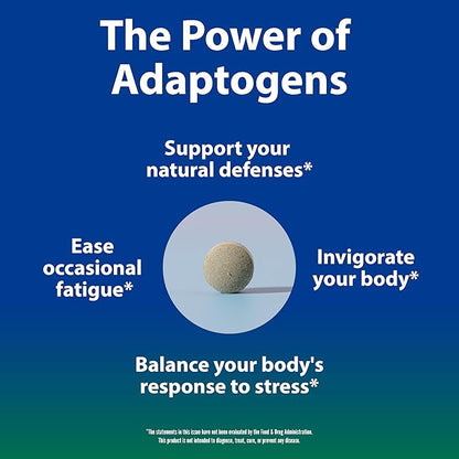 Sun Chlorella Sun Ukogi Organic Eleuthero Root 200 mg Siberian Ginseng Supplement - Natural Adaptogen Well Being & Endurance Supplement for Women & Men - Non-GMO - 240 Tablets