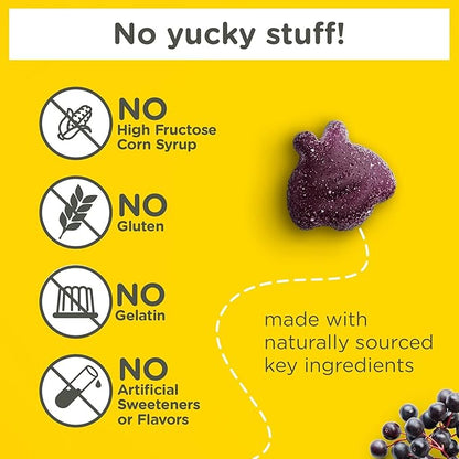 Zarbee's Children's Daily Immune Support Gummies with Real Elderberry + Vitamins A, C, D, E & Zinc to Help Promote a Healthy Immune System, No Artificial Flavors, Gluten-Free, 42 ct