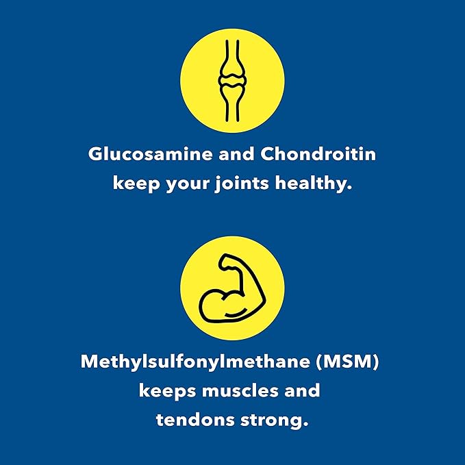 Glucosamine Chondroitin MSM (120 Capsules) Joint Supplements for Men & Women | Discomfort Easing Supplements for Back, Knee, Hands | Nutritional Supplements & Advanced Complex