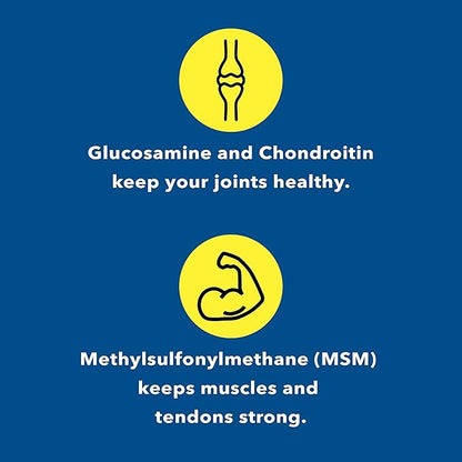 Glucosamine Chondroitin MSM (120 Capsules) Joint Supplements for Men & Women | Discomfort Easing Supplements for Back, Knee, Hands | Nutritional Supplements & Advanced Complex