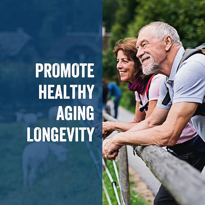 Liposomal NAD+ 500 mg + Trans-Resveratrol 300 mg, Superior Absorption True NAD Supplement Efficient for Cellular Energy Metabolism & DNA Repair, 60 Softgels