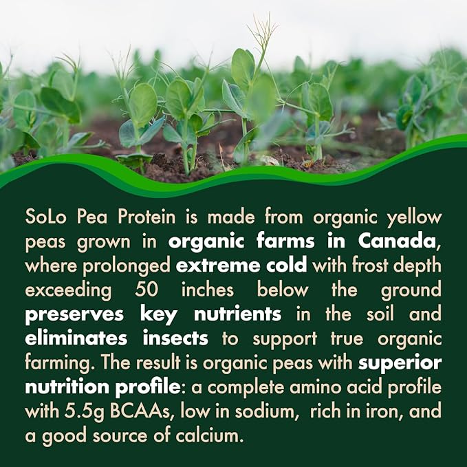 SOLO Organic Pea Protein Isolate, Low in Sodium, Canada Grown Peas, 100% Vegan, Non-GMO, Unflavored Plant Based Protein Powder with BCAA, Keto & Paleo Friendly, Easy to Digest, No Additives (2.7 lbs)