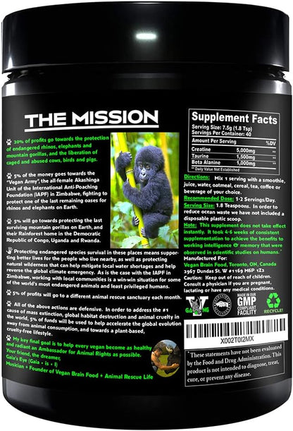 Vegan Brain & Body Boost: The Cherry On Top of A Plant-Based Lifestyle | Working Intelligence | Anti-Aging | Physical Fitness | Vegan Amino Acids - Creatine, Taurine & Beta Alanine | 40 Servings/300g