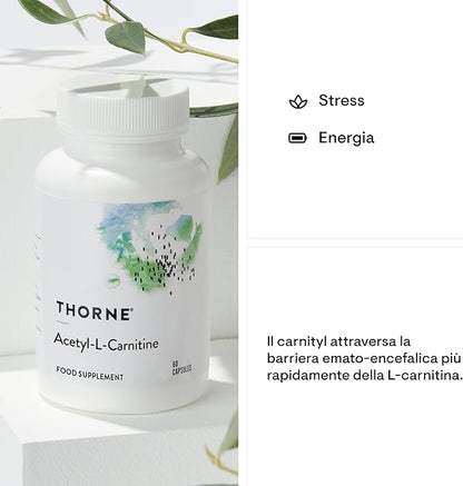 THORNE Acetyl-L-Carnitine - 500 mg - Supports Brain Function and Healthy Nerve Sensations in The Hands and Feet - Gluten-Free, Soy-Free, Dairy-Free - 60 Capsules