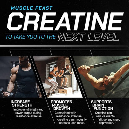 Muscle Feast Creapure Creatine Monohydrate Powder, Vegan Keto Friendly Gluten-Free Easy to Mix, Mass Gainer, Muscle Recovery Supplement and Best Creatine for Muscle Growth, Watermelon, 300g