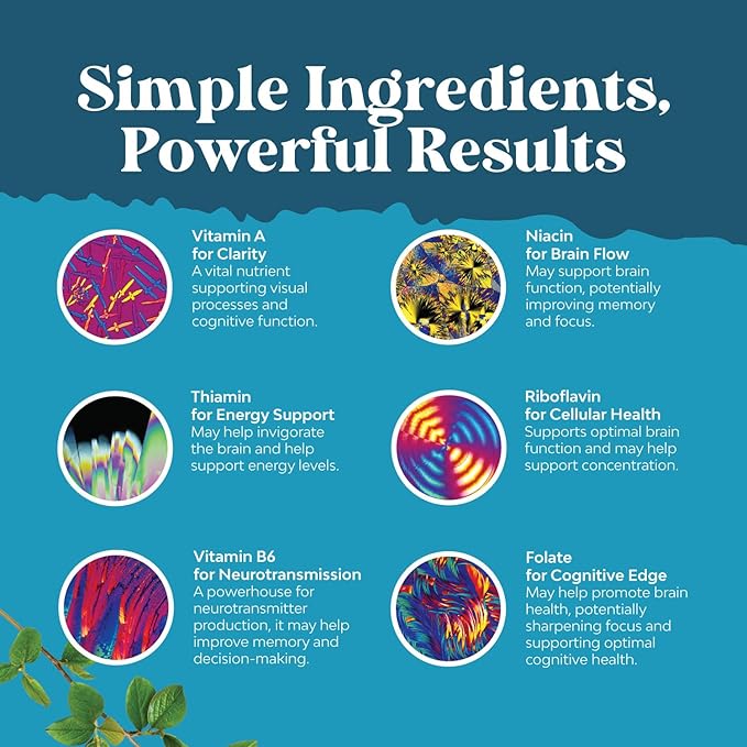 Nootropics Brain Support Supplement - Mental Focus Nootropic Memory Supplement for Brain Health & and Performance Blend, with Energy and Vitamins DMAE Bacopa and Phosphatidylserine Capsule