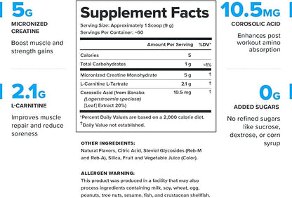 LEGION Recharge Post Workout Supplement - All Natural Muscle Builder & Recovery Drink with Micronized Creatine Monohydrate Naturally Sweetened & Flavored, (Strawberry Kiwi, 60 Serving)