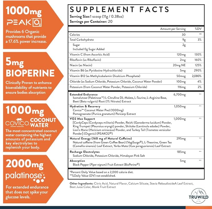 TruWild Motion - 3 Pack, All Natural Plant Based Vegan Pre Workout Powder for Men & Women, Clean Energy Supplement with Electrolytes, Increased VO2 Max, No Chemicals, Fillers or Synthetic Stimulants