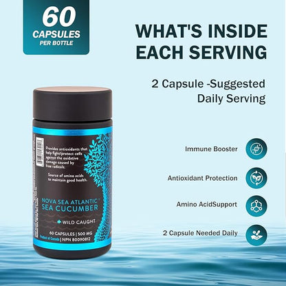 Sea Cucumber Supplement, Wild Caught Sea Cucumber Capsules with Fucosylated Chondroitin Vitamins Mineral — Natural Antioxidant Supplement for Elderly Adult Child (60 Capsules)