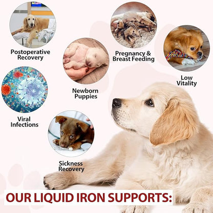 Liquid Iron Drops for Dogs, Liquid Iron Supplements for Dogs Supports Anemia, Promotes Blood Health, Improve Low Enery Levels and Lethargy - Pet Supplies Dog Vitamins - 60 ml/Caramel Flavor