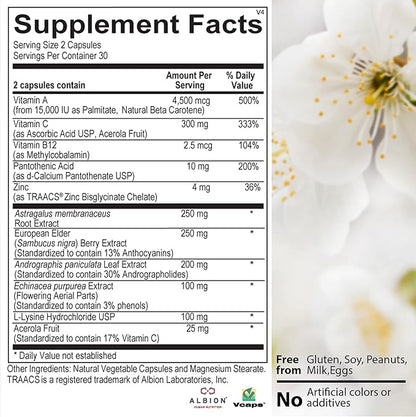 Immediate Defense Immune Support - Zinc, Black Elderberry, Echinacea, Vitamin A & C with B12, | Powerful Immunity Booster for Adults | Immune System Booster Supplement 60 Capsules