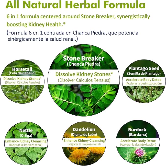 Herbal Formula with Stone Breaker & Horsetail Extract for Kidney Stones Dissolve, Kidney Cleanse Support & Detox Support. 2oz