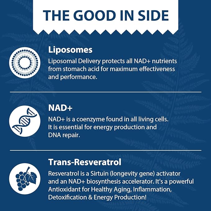 Liposomal NAD+ 500 mg + Trans-Resveratrol 300 mg, Superior Absorption True NAD Supplement Efficient for Cellular Energy Metabolism & DNA Repair, 60 Softgels