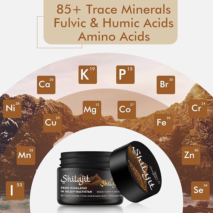 Shilajit Pure Himalayan Shilajit Resin - Gold Grade 100% Pure Shilajit with Fulvic Acid & 85+ Trace Minerals Complex for Energy & Immune Support, Pack of 2 (4 Months Supply)