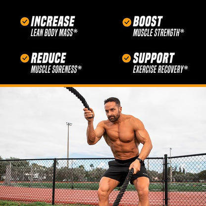 Outwork Nutrition Recovery Drink - Post Workout Recovery Powder & Creatine Monohydrate Muscle Builder for Men & Women - Creatine for Men & Women - After Workout Recovery Drink - Orange Sherbet - 230g