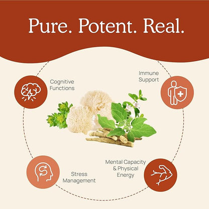 Real Mushrooms RealClarity Mushroom Powder Capsules - Brain Supplement with KSM-66 Ashwagandha Extract for Mental Clarity, Focus - Organic Lions Mane Capsules Focus Supplements for Adults, 60ct