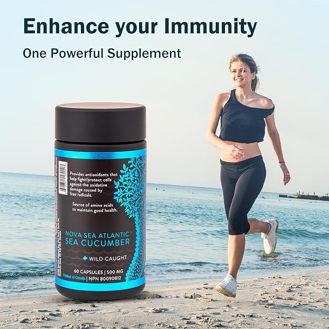 Sea Cucumber Supplement, Wild Caught Sea Cucumber Capsules with Fucosylated Chondroitin Vitamins Mineral — Natural Antioxidant Supplement for Elderly Adult Child (60 Capsules)