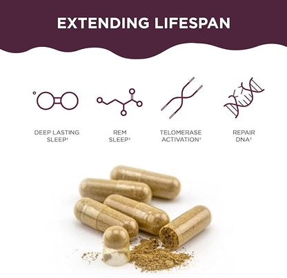 Healthycell Telomere Length | Supplement for Lengthening Telomeres and DNA Repair, Anti Aging, Cell Health, Stem Cell Support | Clinically Proven Ingredient AC11® | 578 mg Capsules