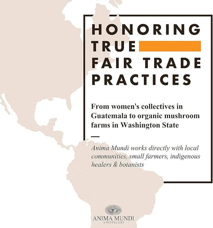 Anima Mundi Viridem Greens Detox Elixir - GI & Liver Detox Liquid Supplement, Natural Herb Cleanse with Chlorophyll, Moringa + Organic Chlorella - Add to Juice & Alkalizing Teas (4oz / 118ml)