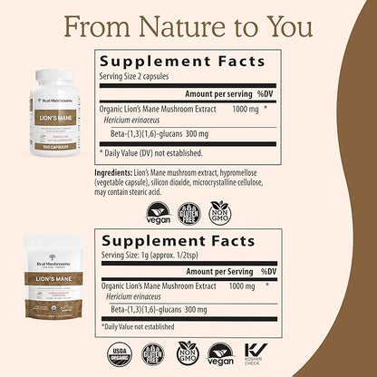 Lions Mane Mushroom Cognition Capsules (120 Capsules) Lions Mane Mushroom Powder Extract Capsules | Brain Supplement, Brain Vitamins, Focus Supplement