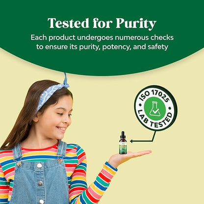 Liquid Multivitamin for Kids Immunity Support - Yummy Toddler Multivitamin Supplement with a C D3 E B6 and D3 Liquid Vitamins for Kids of All Ages - High Absorption Kids Liquid Multivitamin (3 Pack)