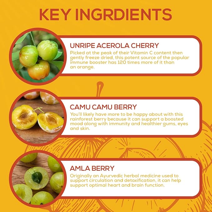 Paleovalley Essential C Complex - Vitamin C Supplement for Immune Support - 1 Pack, 450mg - Organic Superfoods Unripe Acerola Cherry, Camu Camu, Amla Berry - No Synthetic Ascorbic Acid - USA Made