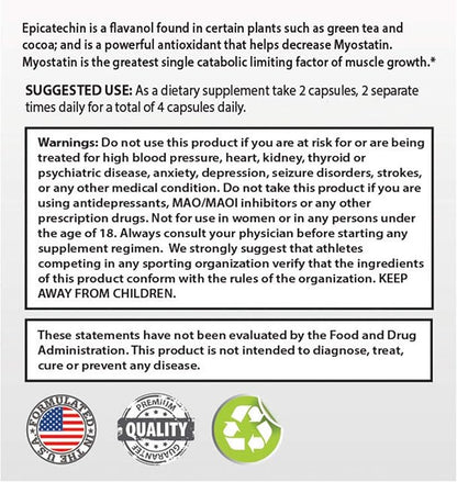 EPICATECHIN - 60 Capsules – 300mg Per Serving by Body Essentials – Maximize Muscle Growth – Increase Protein Synthesis, Gains, Lean Muscle – Increase Strength and Decrease Body Fat