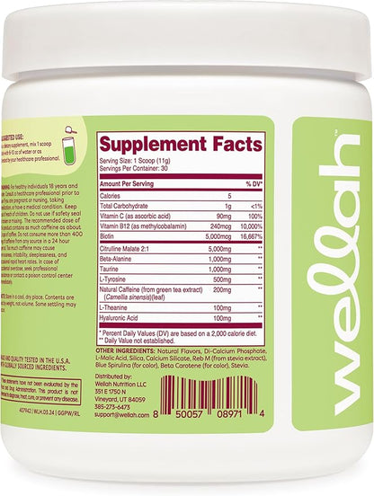 Get-Going Pre-Workout Drink Mix (Green Apple Flavored, 30 Servings)