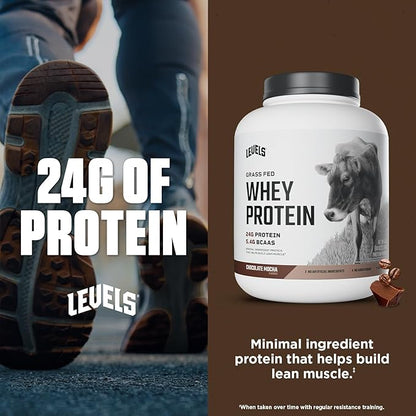 Levels Grass Fed Whey Protein Powder, No Artificials, 24G of Protein, Chocolate Mocha, 5LB