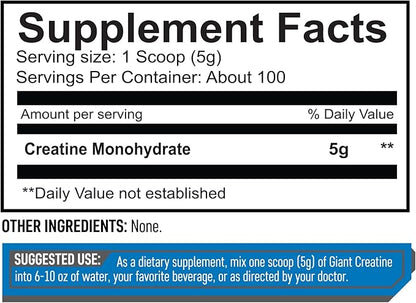 Giant Sports Edge Creatine Monohydrate, 500g - 5g Pure Micronized Creatine per Serving, Support Muscle Energy and Strength, 100 Servings - Unflavored