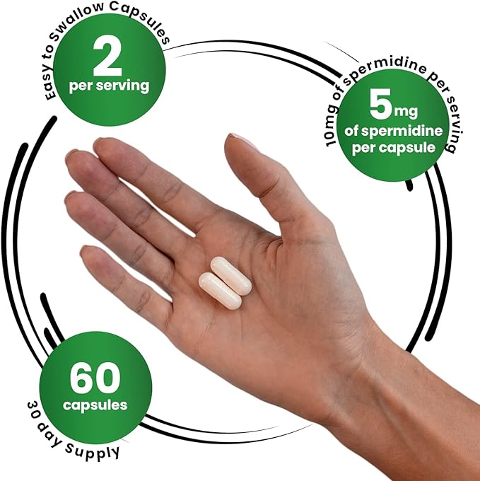 Genex Formulas Spermidine Supplement (60 Vegan Capsules)-10mg of Spermidine from Wheat Germ Extract, Autophagy Supplement for Healthy Aging & Cell Renewal, Non-GMO, Gluten-Free