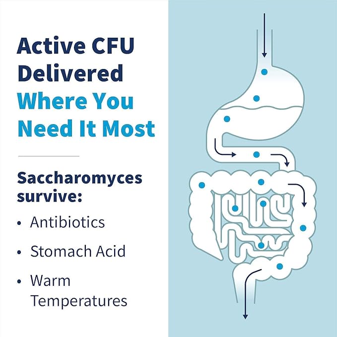 Klaire Labs SFI Health Saccharomyces Boulardii Probiotics for Women and Men - Vegan, Hypoallergenic S. Boulardii Probiotics for Digestive Health & Immune Support - Heat-Stable (120 Capsules)