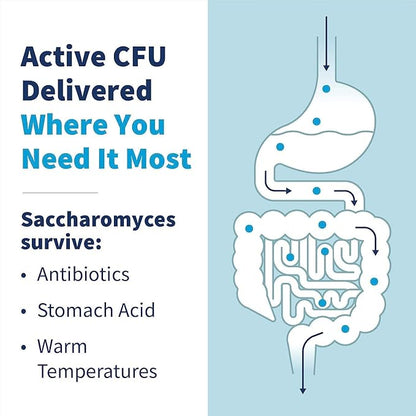 Klaire Labs SFI Health Saccharomyces Boulardii Probiotics for Women and Men - Vegan, Hypoallergenic S. Boulardii Probiotics for Digestive Health & Immune Support - Heat-Stable (120 Capsules)