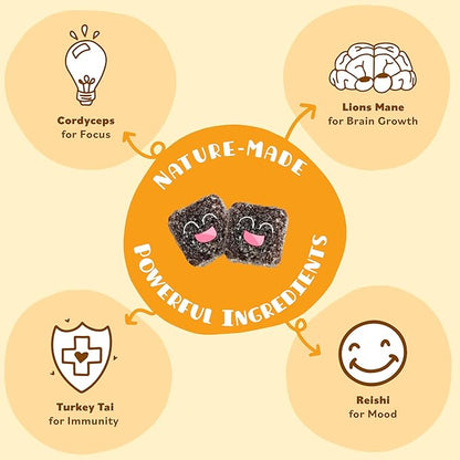 Mini Mushy's Organic Everyday Support Gummies | Turkey Tail, Reishi, Lions Mane, Cordyceps Mushrooms | for Kids Aged 2+ Natural Color, Allergy Friendly, Low Sugar | Strawberry Flavor - 30 Count