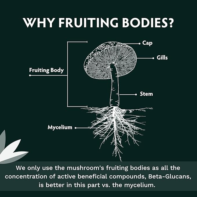 TRIBE ORGANICS Lion’s Mane Supplement 1800mg Mushroom Extract Powder - Immune System Booster & Brain Nootropic for Focus and Memory | Mental Clarity | Natural Energy and Immunity - 120 Vegan Capsules