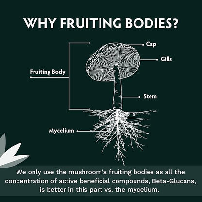 TRIBE ORGANICS Lion’s Mane Supplement 1800mg Mushroom Extract Powder - Immune System Booster & Brain Nootropic for Focus and Memory | Mental Clarity | Natural Energy and Immunity - 120 Vegan Capsules