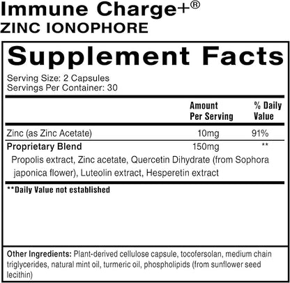 Quicksilver Scientific Immune Charge+ Zinc Ionophore - Zinc Supplement Complexed with Quercetin, Luteolin, Hesperetin Immune + GI Support (60 Capsules)