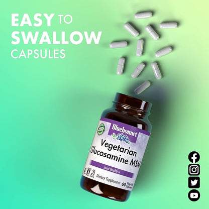 BlueBonnet Vegetarian Glucosamine Plus MSM Supplement, 60 Count (743715011137)