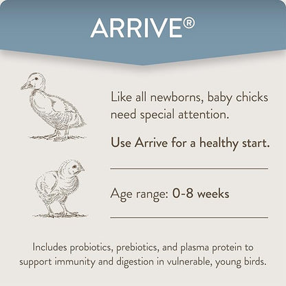 Arrive, Daily Probiotic & Prebiotic Poultry Supplement for Young Chickens 0-8 Weeks Old, 8 oz